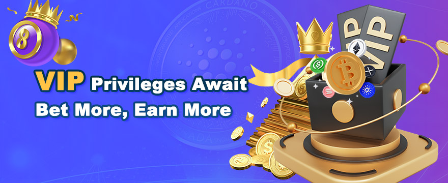 VIP Program